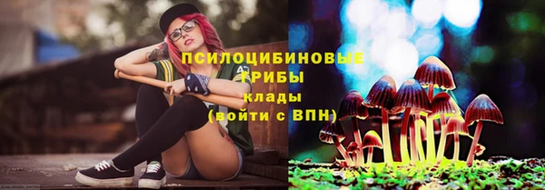 марки lsd Новодвинск