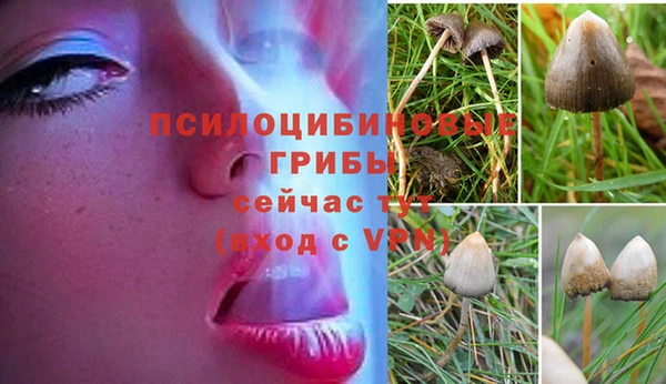 трава Дубна