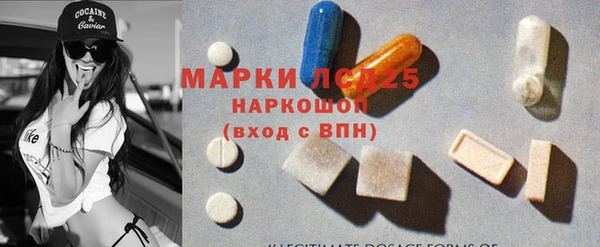 прущие грибы Костерёво