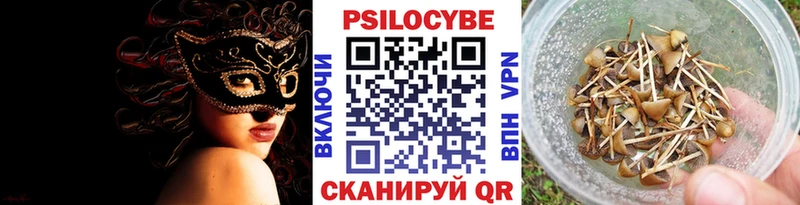 Псилоцибиновые грибы мицелий Красный Холм